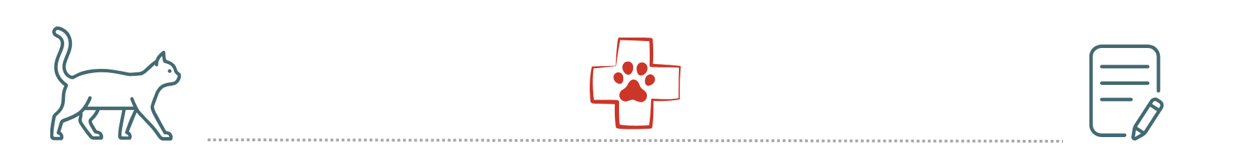 Caring Veterinary Team at Miami Pet Clinic pet insurance guidance for dogs and cats at Miami Pet Clinic in Miami