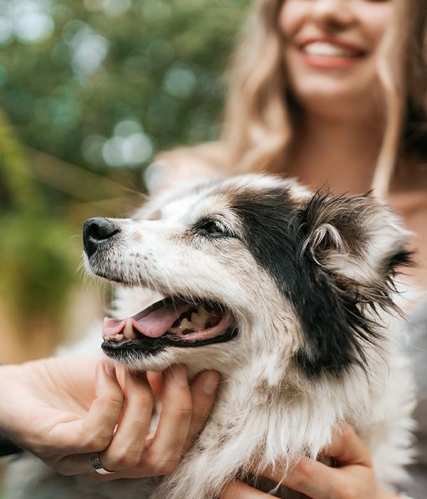 A fluffy dog being petted, looking content with its mouth open, while a person smiles in the background.