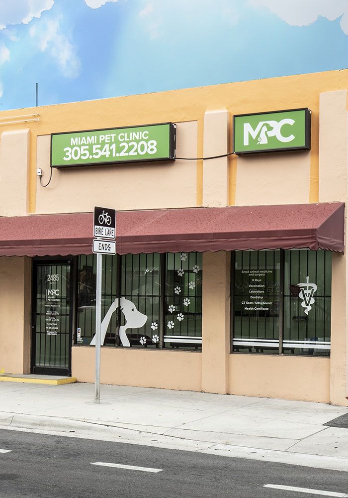 The facade of Miami Pet Clinic with green and white signage and large windows decorated with pet graphics.