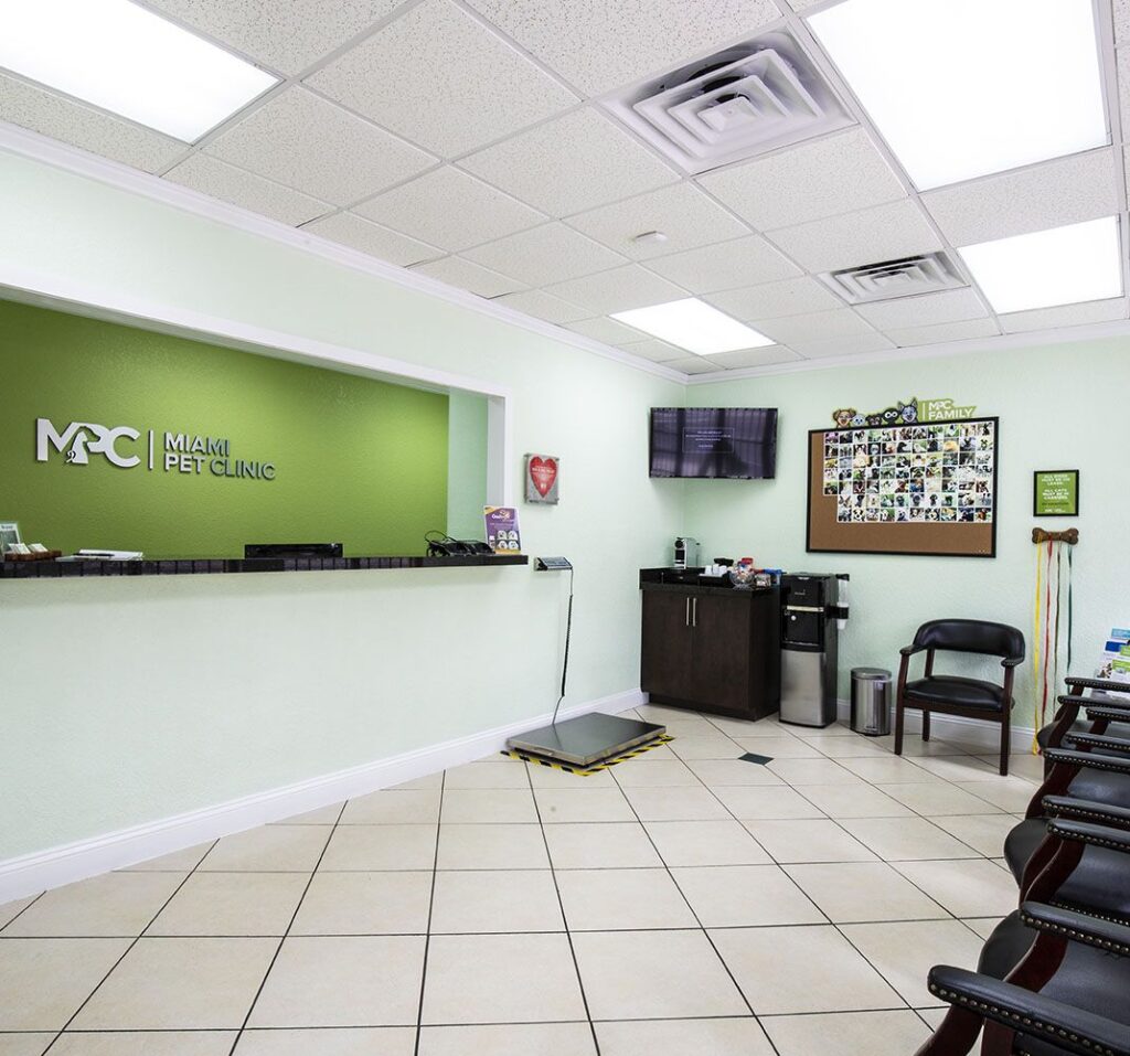 Veterinary clinic lobby with green walls, reception desk, weighing scale, seating area, and a bulletin board.
