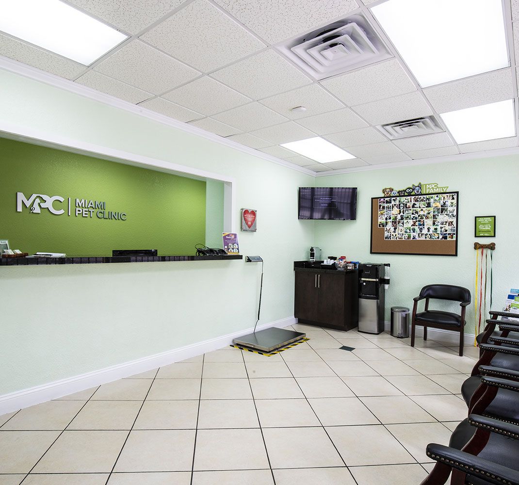 Veterinary clinic waiting area with chairs, a reception desk, pet scale, bulletin board, and TV on a light green wall.