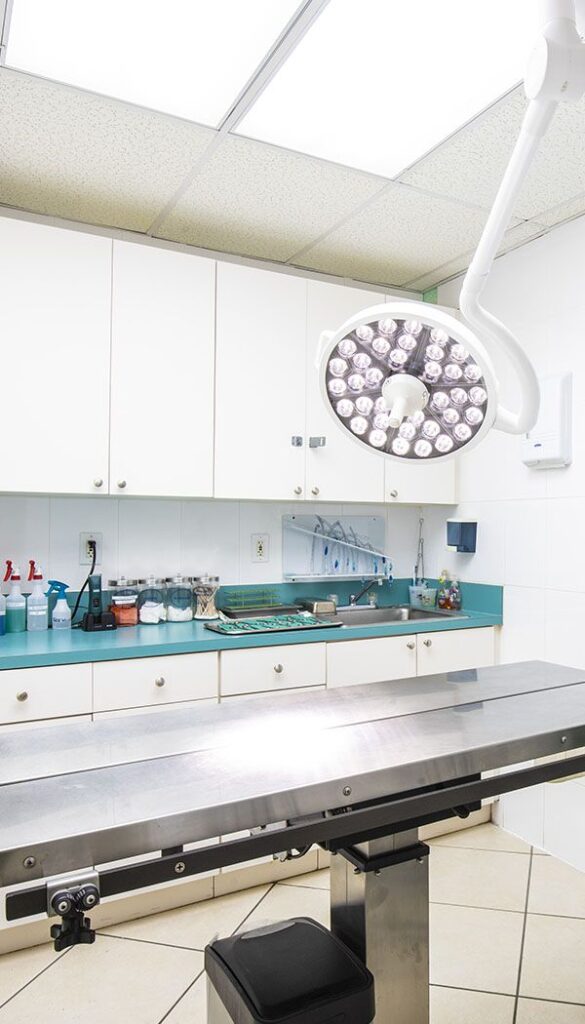 Sterile operating room with a surgical table, overhead light, and medical supplies on a counter.