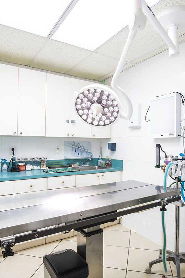 Surgical room with an operating table, overhead lamp, and medical equipment on countertops.