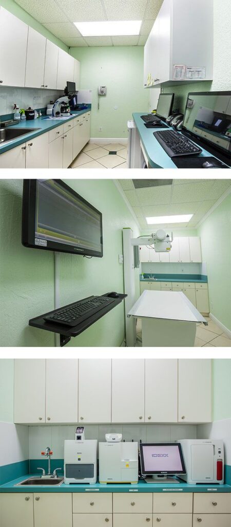 A veterinary clinic workstation with computers, lab equipment, and diagnostic machines on turquoise counters.