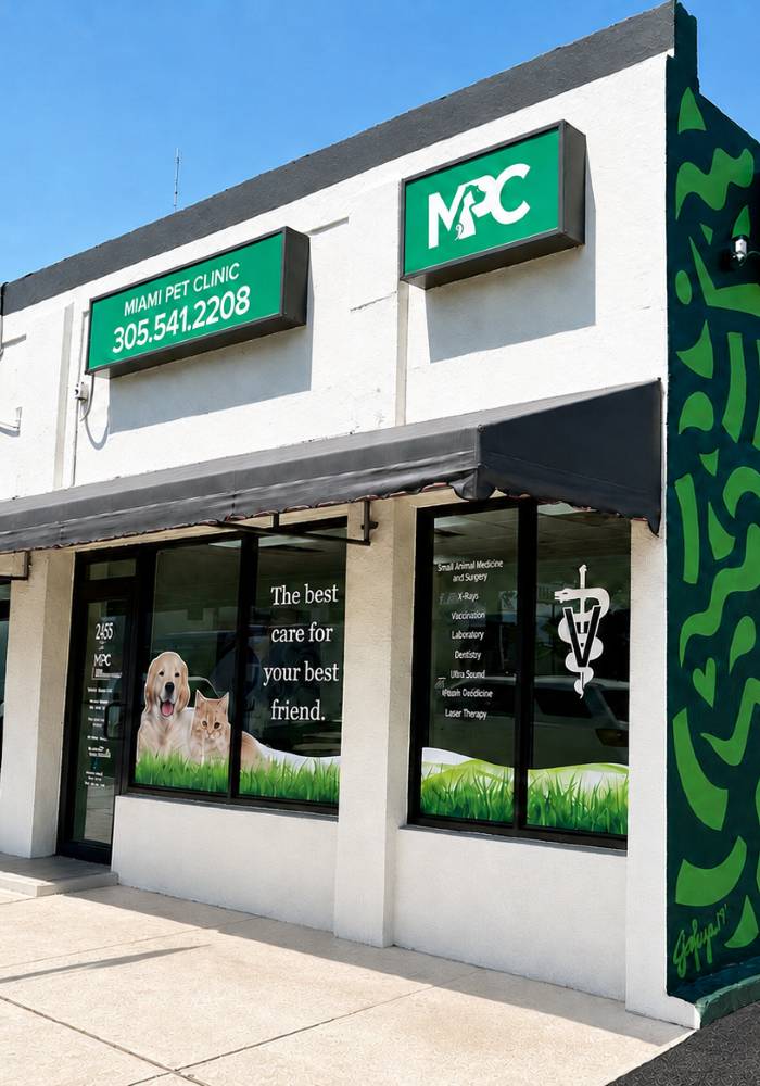 A pet clinic storefront featuring a dog and cat on the windows with a sign stating "The best care for your best friend."